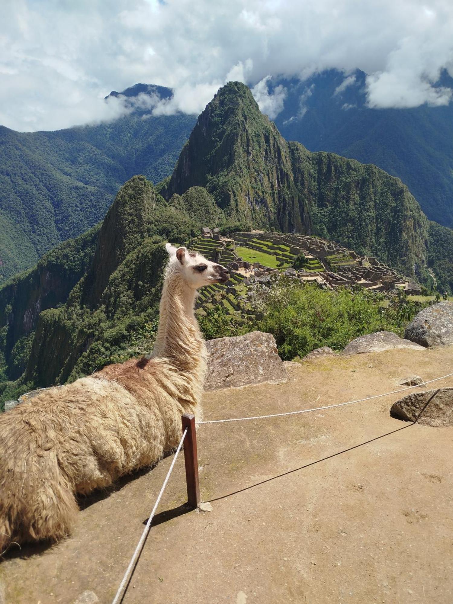 Hotel Picos House Machupicchu Exteriér fotografie