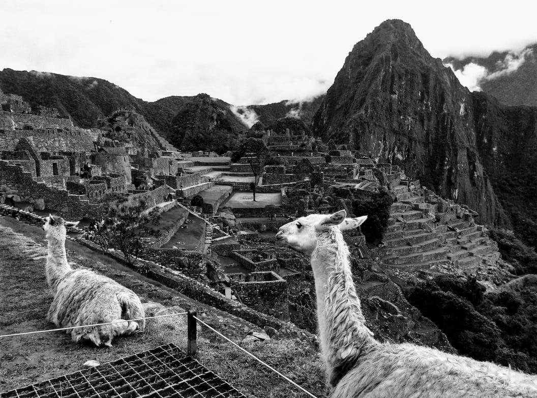 Hotel Picos House Machupicchu Exteriér fotografie